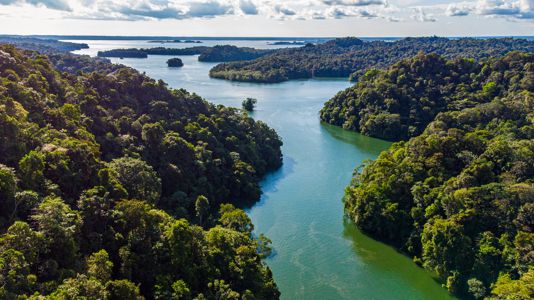 Bienaventuranza de Ser | Retiro de yoga<br> Colombia del 21 al 27 de julio de 2024