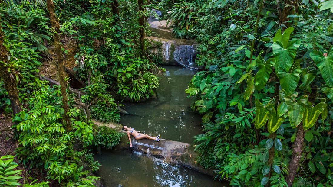 El camino del guerrero: abrazar tu felicidad | Retiro de yoga<br> Colombia 5 al 11 de mayo de 2024