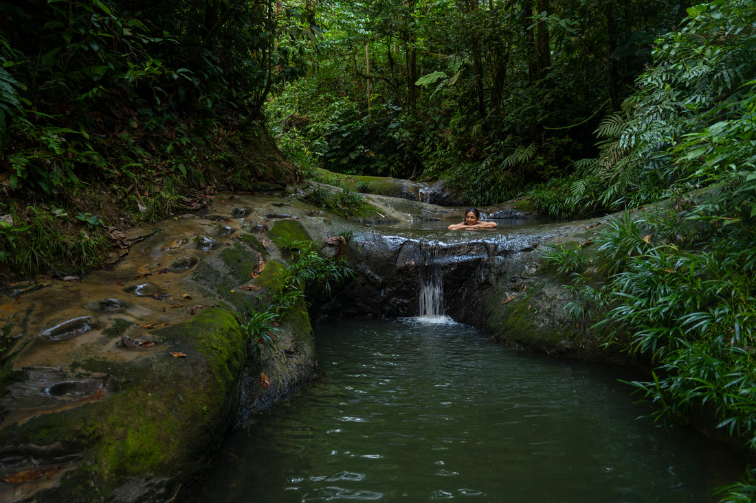 El camino del guerrero: abrazar tu felicidad | Retiro de yoga<br> Colombia 5 al 11 de mayo de 2024