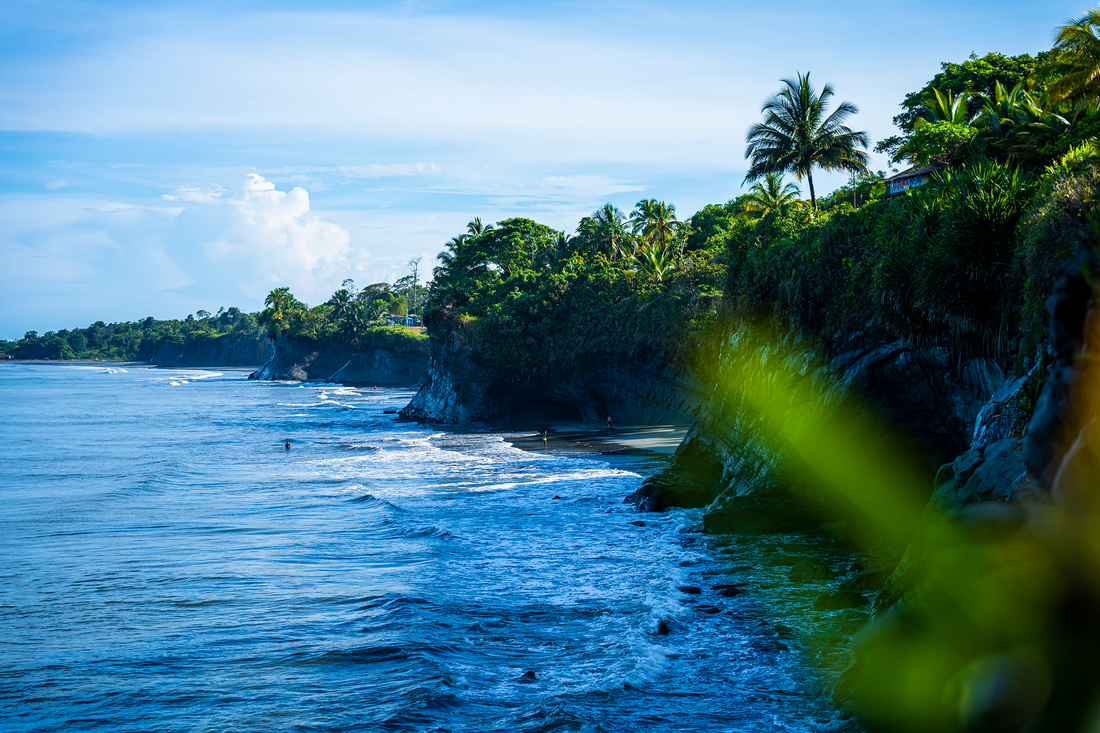 El camino del guerrero: abrazar tu felicidad | Retiro de yoga<br> Colombia 5 al 11 de mayo de 2024